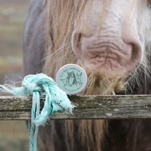 Load image into Gallery viewer, No 9: Clydesdales On The Croft - Honeysuckle and Green grass, Luxury Candle Jar.