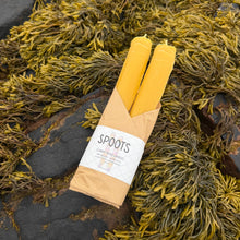 Load image into Gallery viewer, SPOOTS! - Clammy Coigach Candles