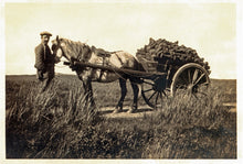 Load image into Gallery viewer, No 10: The Peats