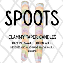 Load image into Gallery viewer, SPOOTS! - Clammy Coigach Candles