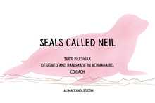 Load image into Gallery viewer, Seals called Neil